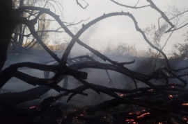 Bomberos sofocan un incendio forestal