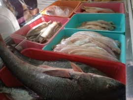 Pescaderías: “Ya no se vende como antes, la gente compra poco”