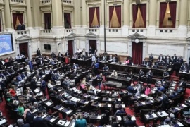 Diputados aprobó una iniciativa para fortalecer la lucha contra el narcotráfico en Rosario