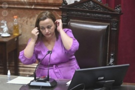 Cecilia Moreau: "Los senadores de JxC no tienen empatía ni responsabilidad política"