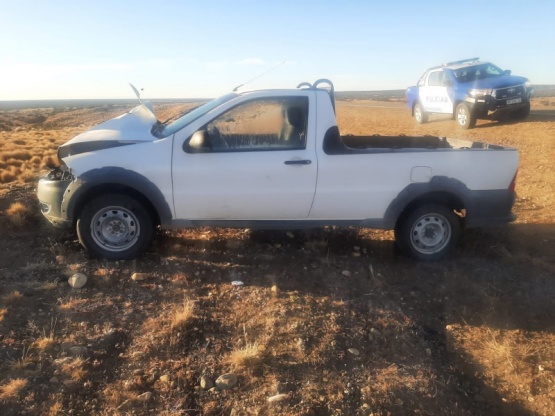 Buscan al dueño de una camioneta que chocó con un guanaco