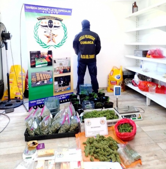 La División Drogas secuestró más de 6 kilos de marihuana, plantas y una alta suma de dinero