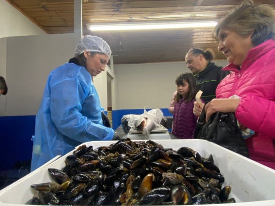 Se vendieron 300 kilos de pescado en la Feria de Mar y Río