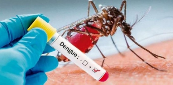 Detectaron el primer caso de dengue en Santa Cruz