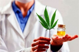 Extienden la vigencia del certificado de autorización para el autocultivo de marihuana con fines medicinales
