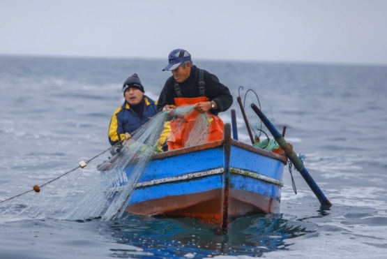Trabajan en la regularización y control de la pesca artesanal en Santa Cruz