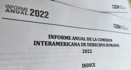 La Comisión Interamericana de Derechos Humanos destacó la política de Argentina