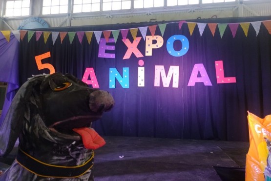 Comenzó la 5° Edición de la Expo Animal