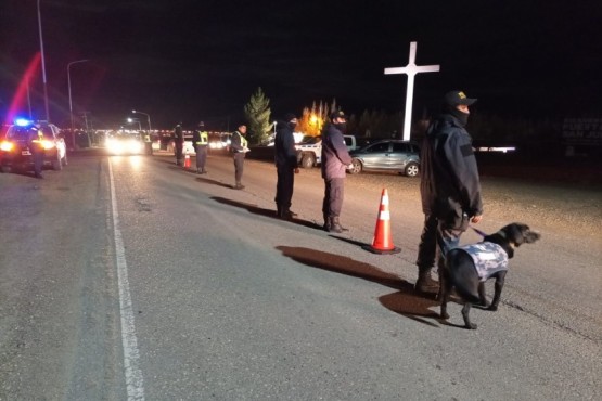 Incautaron armas de fuego y estupefacientes durante operativos de control 