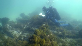 Santa Cruz sede natural para el rescate y conservación de patrimonio subacuático