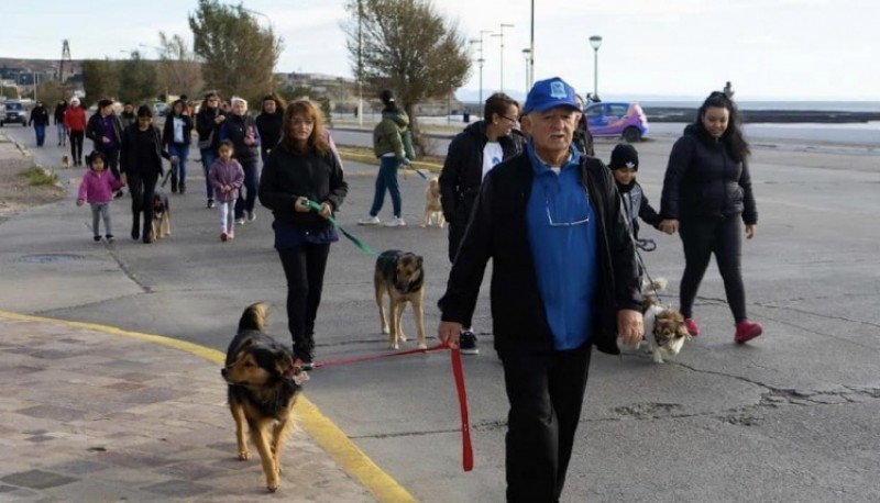 El Municipio impulsó una jornada recreativa para el disfrute de las mascotas junto a sus familias