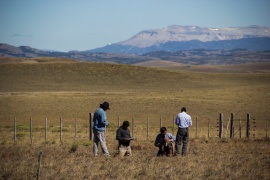 Productores de la Patagonia reciben los primeros pagos por créditos de carbono