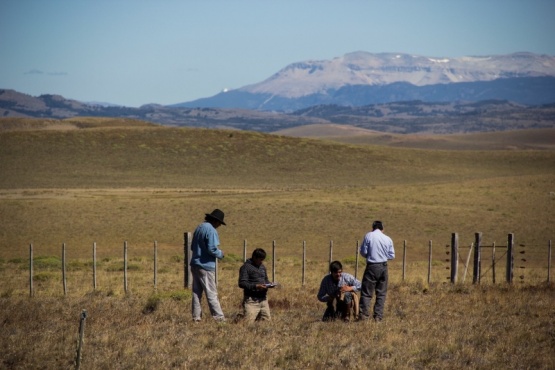 Productores de la Patagonia reciben los primeros pagos por créditos de carbono