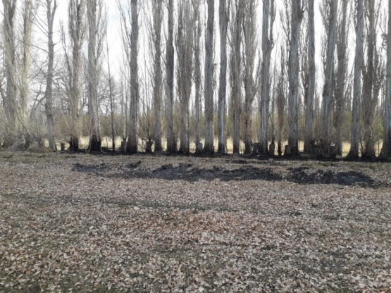 Incendio en la escuela Agropecuaria N°1