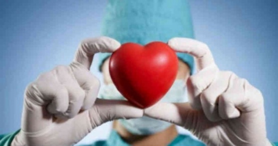 Día Nacional de la Donación de Órganos: ya se realizaron 1.502 trasplantes en 2023