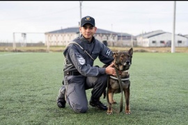 El Servicio Penitenciario Provincial cuenta con un nuevo guía de canes