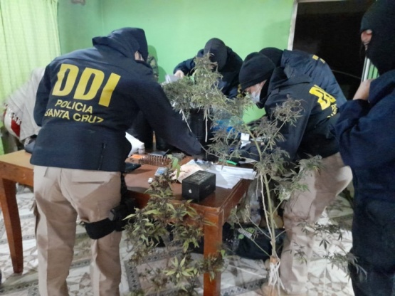 DDI incautan 50 dosis de cocaína, marihuana y municiones 9 mm.