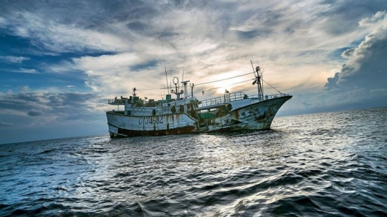 Biólogo propone aumentar la protección de los océanos para incrementar la pesca