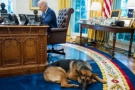 Un perro de Biden mordió a una decena de empleados de la Casa Blanca