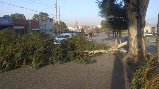 Temporal de viento en Comodoro Rivadavia: recomiendan no salir de las viviendas