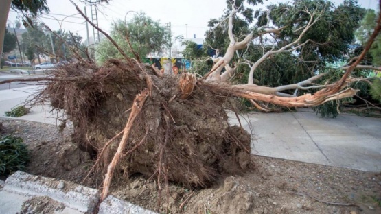 Cerca de 200 viviendas en Comodoro Rivadavia quedaron afectadas por el temporal