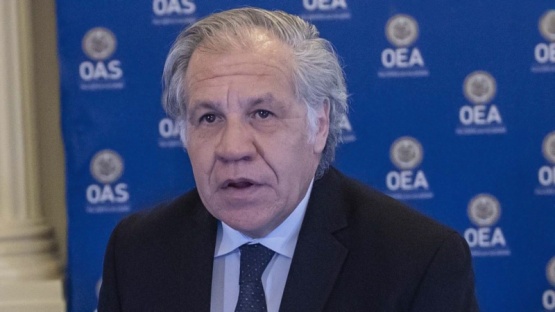 Luis Almagro, Secretario General de la OEA / Foto: AFP