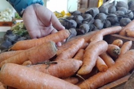 Cómo afecta la inflación a las frutas y verduras en Río Gallegos