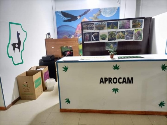 Llega el Primer Encuentro de Cannabis Medicinal a Puerto Deseado