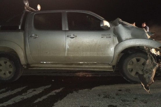 Camioneta colisionó contra tres caballos 