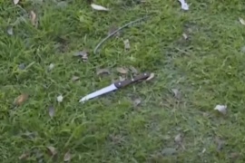 Crimen del ingeniero: confirman que el cuchillo hallado tiene sangre humana