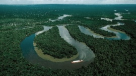 En el día de la Amazonia, Lula creó dos nuevas reservas indígenas