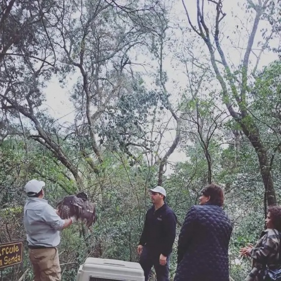 Liberan a dos lechuzones en el parque botánico de la capital jujeña