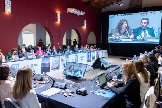 Santa Cruz presente en el Consejo Federal de Salud en Tucumán