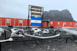 Cómo se vivió el Día del Bibliotecario en la Base Antártica Carlini