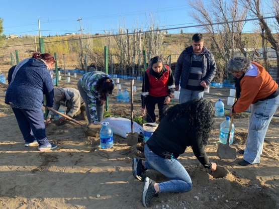 Impulso al crecimiento de la vitivinicultura en Caleta Olivia