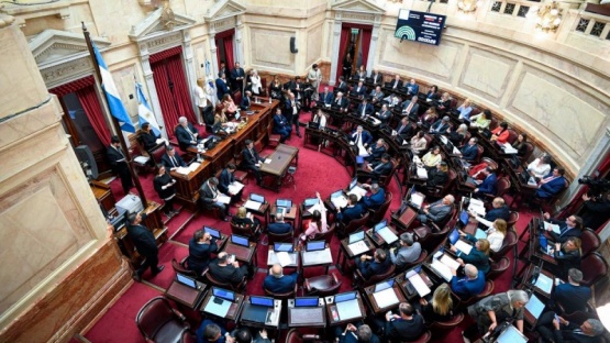 El Senado convirtió en ley la eliminación del impuesto a las Ganancias