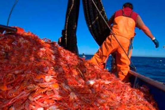 Denuncian intereses ocultos en el no tratamiento del proyecto de trazabilidad de la pesca