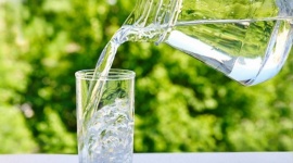El agua, un recurso esencial para la alimentación y la sostenibilidad