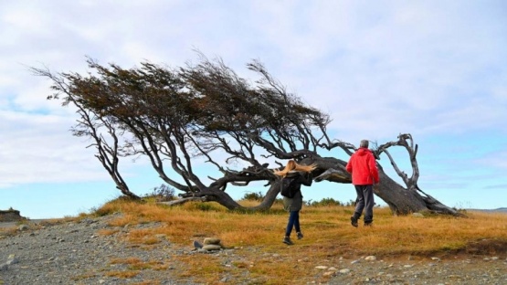 El viento hizo estragos en toda la Patagonia