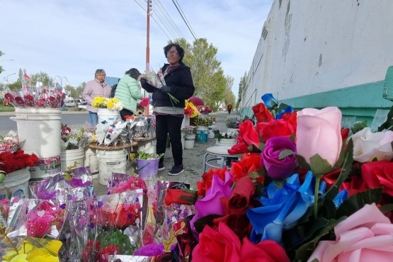 Día de Todos los Santos en Río Gallegos: ¿cuánto cuestan las flores?