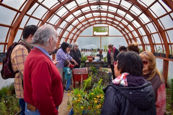 Abuelos del Cenin N°4 visitaron el Vivero Municipal