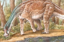 Encontraron un titanosaurio en la Patagonia