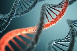 Identificaron a un abusador cruzando datos genéticos del Registro Nacional