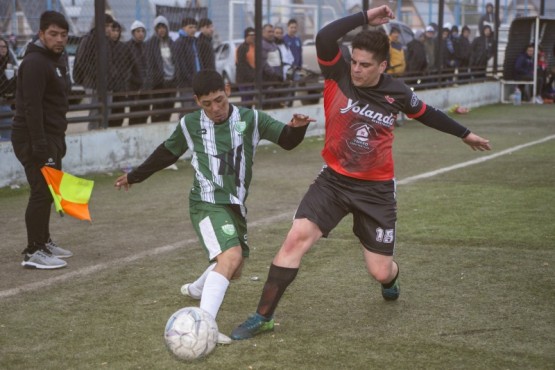 El Albiverde sigue adelante. 