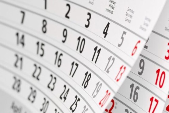 Se viene un fin de semana extra largo: el calendario de feriados