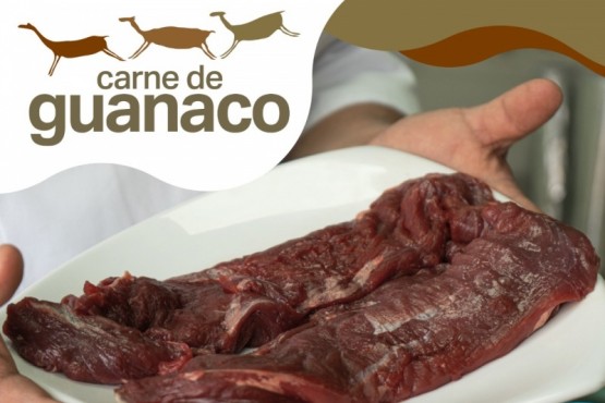 El Gobierno provincial continúa potenciando la industria de la carne de guanaco