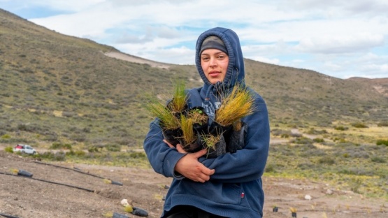 Reforestación con plantas nativas en el Parque Patagonia