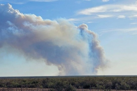 Controlaron un incendio rural en el noreste de Chubut 