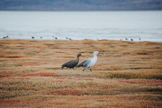 Se conocieron las fotos ganadoras del concurso para el Calendario Ambiental