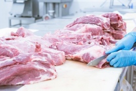 El Gobierno afirma que la suba de la carne no está vinculada con las medidas económicas